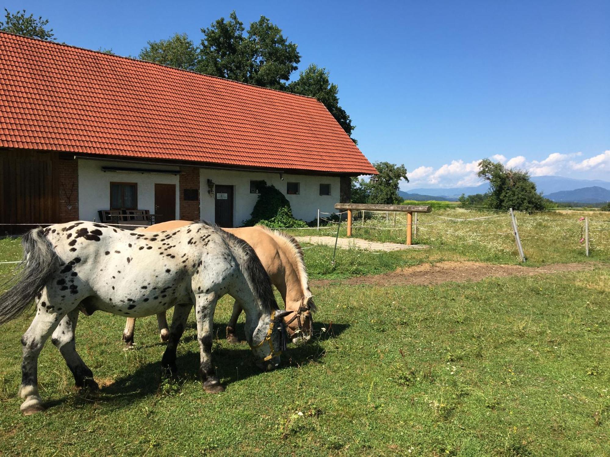Skorianzhof Ξενοδοχείο Eberndorf Εξωτερικό φωτογραφία